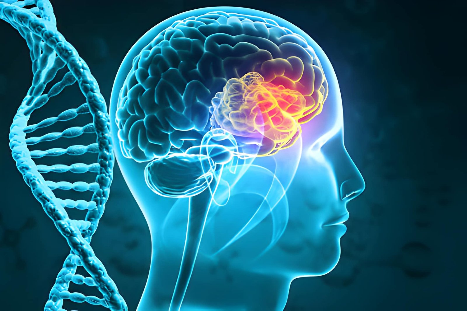 Head & Neck Cancer